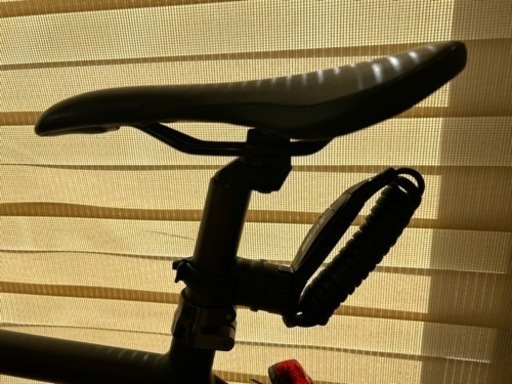 キャノンデール CANNONDALE バッドボーイ BAD BOY  Lサイズ