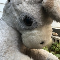 ぬいぐるみ　木馬の画像