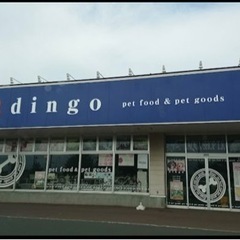 ペットショップディンゴ　閉店セール