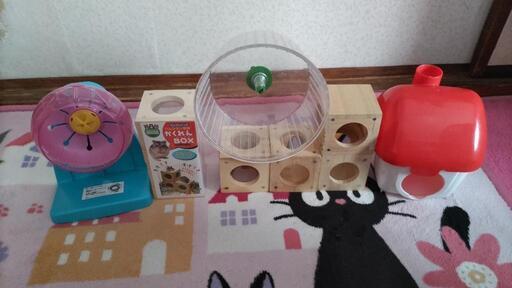 ハムスターのお家や遊ぶおもちゃ