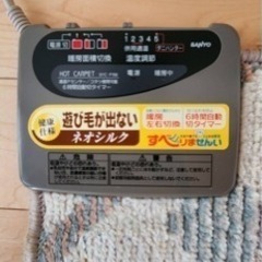 ホットカーペットの画像
