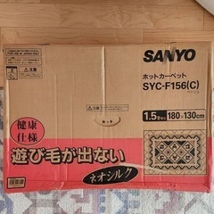ホットカーペットの画像