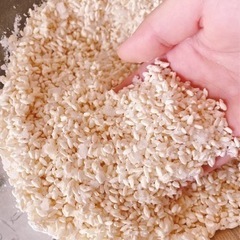 2月６日　薬膳✖️味噌教室の画像