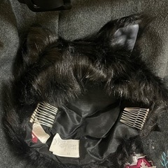 シークレットハニー　ディズニー　わんわん物語　ブラックコートの画像