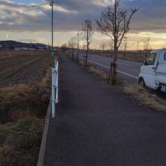 天然石 7こ 庭石 いけず石 大きめサイズの画像