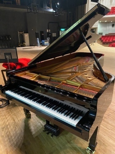 鍵盤楽器、ピアノ Steinway&sons Model D, B, O, M
