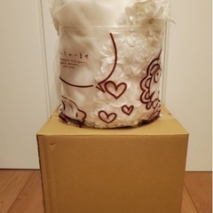 ★★再値下げしました★★【新品未使用】花嫁　二次会　エンパイア　ドレスの画像