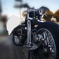 ロードホッパー風　ドラッグスター250の画像