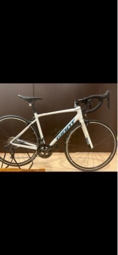 GIANT CONTEND 1  2021モデル　ホワイト　Mサイズ