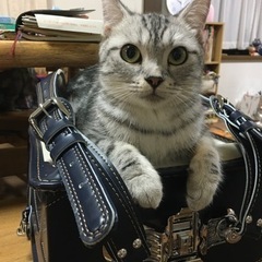 受付終了します。