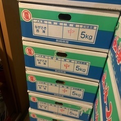 西海みかん