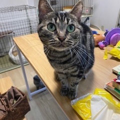 ありがとうございました。