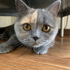 多数の応募ありがとうございました。