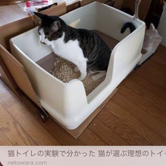  【保護猫用】自動トイレ/縦型やフード付きの猫用トイレ②探しています