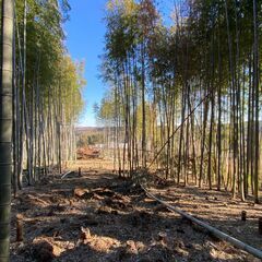 おらがキャンプ場でオーナーメンバー募集中　限定数 − 千葉県