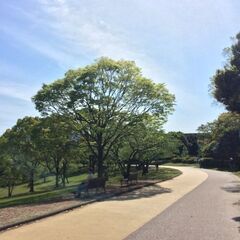 一緒にウォーキングしませんか？