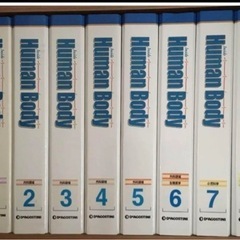 デアゴスティーニ　ヒューマンボディ