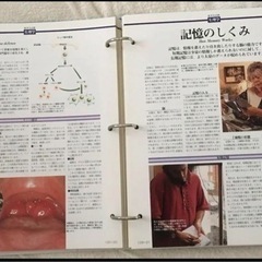 デアゴスティーニ　ヒューマンボディの画像