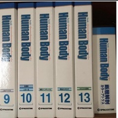 デアゴスティーニ　ヒューマンボディの画像