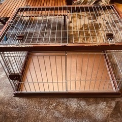 小型犬用ゲージブラウン