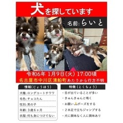 【迷子犬】 