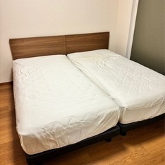 ブランドベット特価