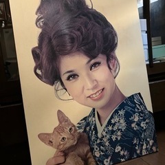 パネル　八代亜紀の画像