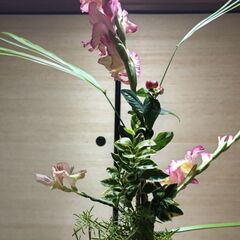 華道教室
