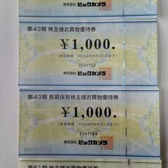 ビックカメラの株主優待券4000円分