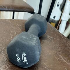 リサイクルショップどりーむ天保山店　No10530　ダンベル　鉄アレイ　筋トレ道具　同一商品有　お買い得品の画像