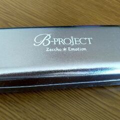 B‐PROJECT ビープロジェクト 金城剛士  メガネケースと...