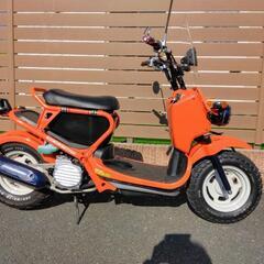 決まりました!(^^)!　　ホンダ　ズーマー　実働整備車　合志市発の画像
