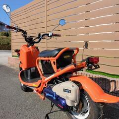 決まりました!(^^)!　　ホンダ　ズーマー　実働整備車　合志市発の画像