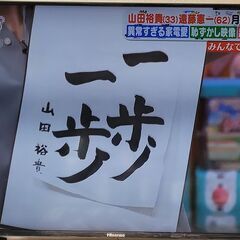 ハイセンス HS50K220 Hisense テレビ ５０インチ