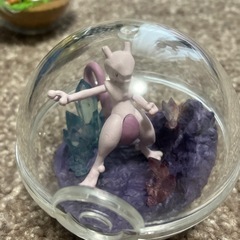 ポケモンテラリウムコレクション７の画像