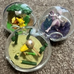 ポケモンテラリウムコレクション７