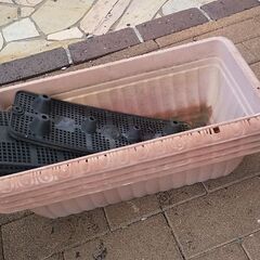 園芸の器4つ無理