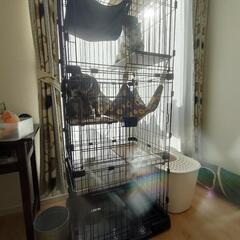 猫用ケージ３段＋屋上