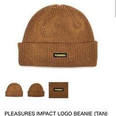 新品 Pleasures プレジャーズ ニット帽 ビーニーの画像