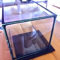 コトブキ工芸クリスタルキューブ＋スリムフィット＋スチーむの画像