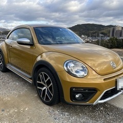ニュービートル　DUNE 限定車500台　平成28年式