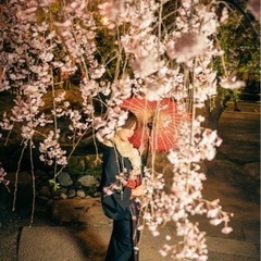 🔸普段着物🔸教室の画像