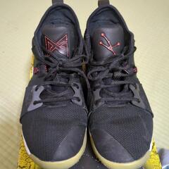 バッシュ NIKE 28の画像