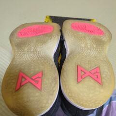 バッシュ NIKE 28の画像