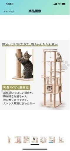 キャットウォーク