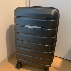 【あげます】キャリーバック