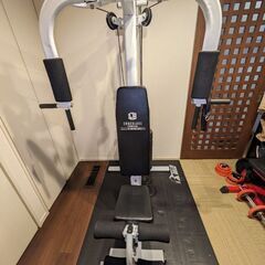 ファイテングロード トレーニングマシン 現在商談中