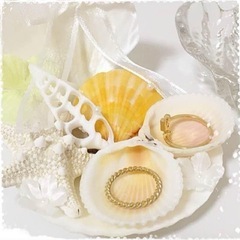 【美品】シェルのリングピロー　リゾートウェディングの画像