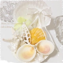 【美品】シェルのリングピロー　リゾートウェディングの画像