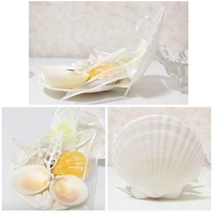 【美品】シェルのリングピロー　リゾートウェディングの画像